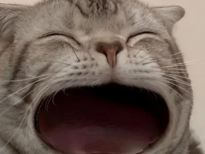 Tuyển chọn ảnh meme há mồm gây cười bá đạo nhất mạng