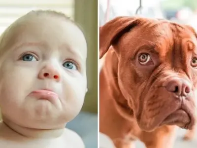 Tổng hợp ảnh meme khinh bỉ vừa hài vừa chất trên mạng