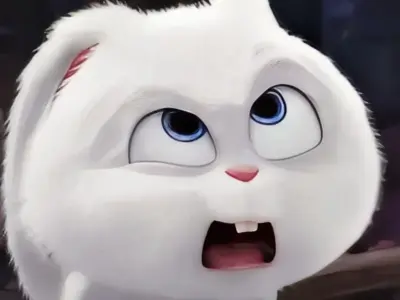 Những ảnh meme khó hiểu khiến bạn phải xem lại nhiều lần