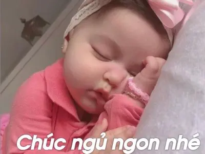 Tuyển chọn ảnh meme ngủ siêu hài hước khiến bạn bật cười