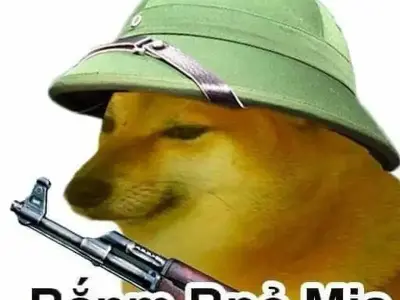Tổng hợp ảnh shiba meme độc đáo, hot trend trên mạng xã hội