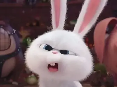 Tổng hợp ảnh thỏ snowball đẹp, siêu đáng yêu cho fan yêu thỏ