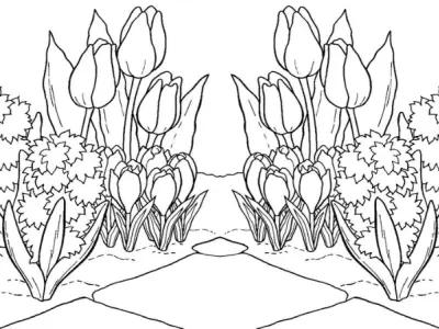 Bộ sưu tập tranh tô màu hoa tulip đẹp dành cho bé