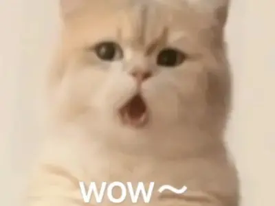 Tổng hợp hình wow meme biểu cảm hài hước cực chất