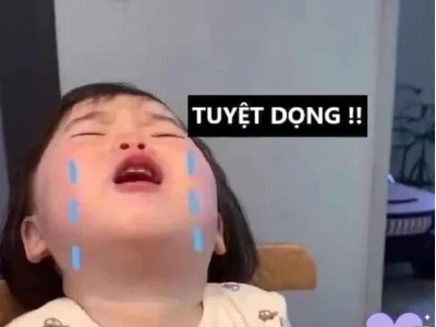 50+ Meme Thất Vọng Biểu Lộ Cảm Xúc Chân Thật Nhất