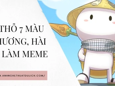 Avatar Thỏ Bảy Màu: Meme, Hài Hước và Sticker Độc Đáo Cho Gen Z