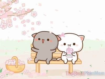 Khám Phá 80+ Avatar Đôi Mèo Cute – Biểu Tượng Tình Yêu Dễ Thương