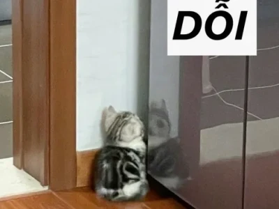 Khám Phá Bộ Sưu Tập Meme Dỗi Cute Hài Hước Nhất 2026