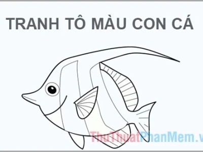 Khám phá thế giới dưới nước với Tranh Tô Màu Con Cá