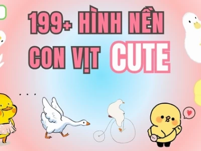 Meme Vịt Vàng: Khám Phá Sự Bùng Nổ Của Biểu Tượng "Vô Tri" Năm 2026