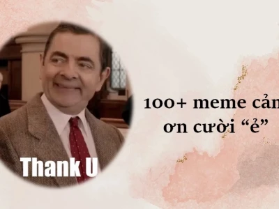 Tổng Hợp 110+ Meme Cảm Ơn Cute và Hài Hước Nhất 2026