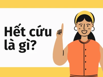 Tổng hợp 1544+ Meme Hết Cứu: Biểu Cảm "Bó Tay" Độc Đáo 2026