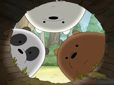Tổng hợp ảnh avatar gấu trắng cute đáng yêu cho năm 2026