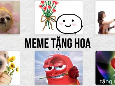 Tổng hợp ảnh meme tặng hoa hài hước và cute nhất 2026