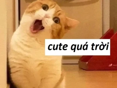 Tổng hợp meme khen hay và hài hước nhất năm 2026
